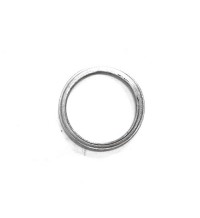 Sealing ring 20405569